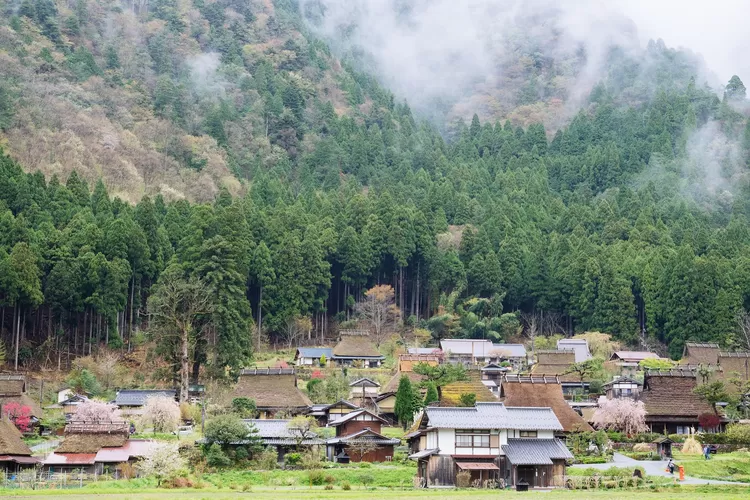 Hutan Belantara Disulap Jadi Pemukiman Begini Kondisi Kampung Para Orang Kaya Baru Di Lereng 8415