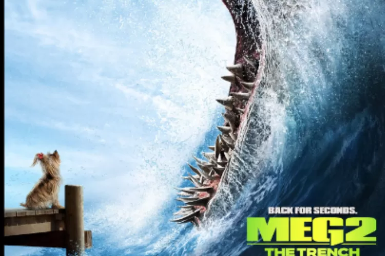 Fakta Menarik Di Balik Layar Film The Meg Showbiz L Vrogue Co