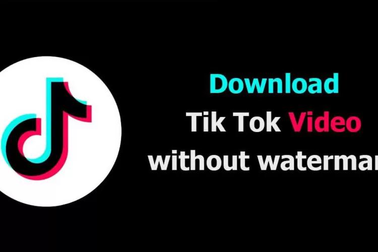 Cara Download TikTok MP4 Tanpa Watermark di SnapTik, Mudah dan Gratis! -  Banten Raya