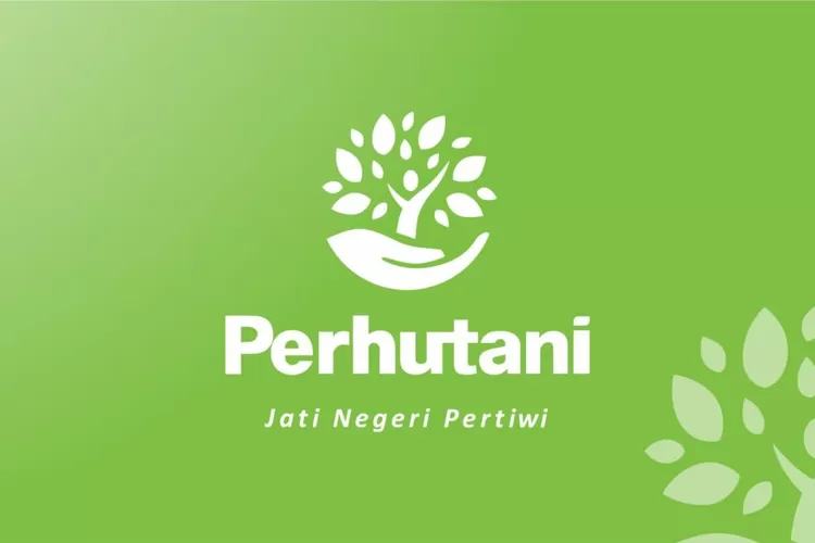 Perum Perhutani Turut Umumkan Penutupan Pendaftaran Rekrutmen Bersama ...