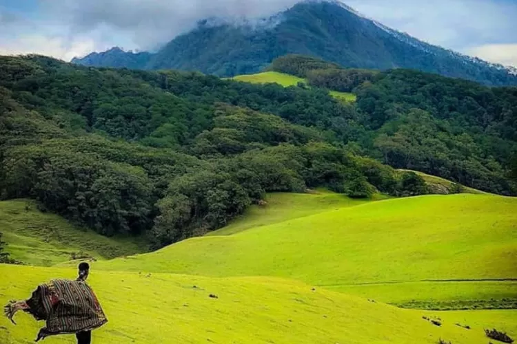 gambar pemandangan gunung yang indah