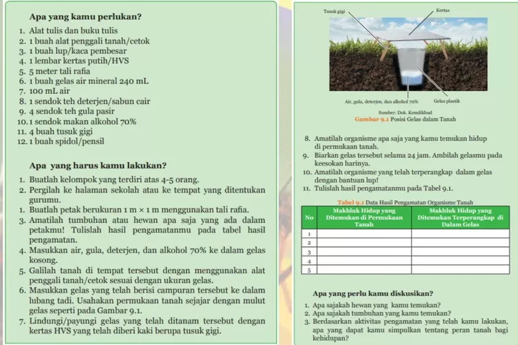 Peran Tanah Bagi Kehidupan, Kunci Jawaban IPA Kelas 9 Halaman 157 158 ...