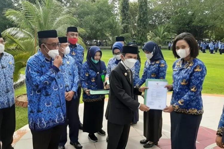 Gaji Ke Segera Cair Intip Besaran Yang Akan Diterima Pensiunan Dari