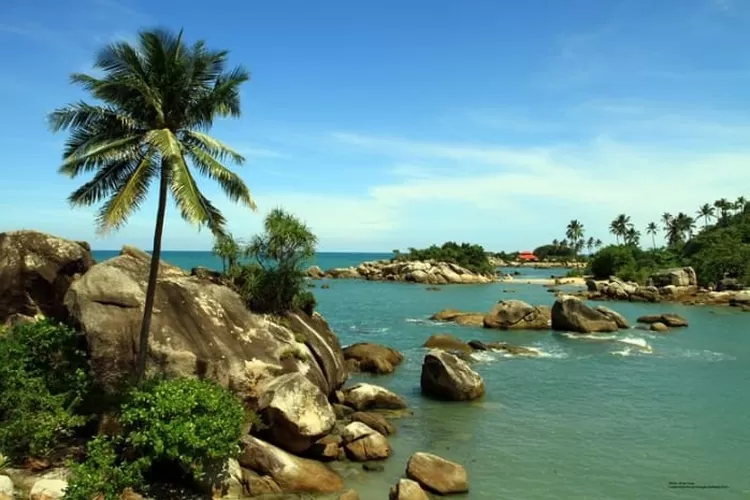 Inilah Deretan Wisata Pantai Di Pulau Bangka Yang Bersih Dan Indah Vibesnya Bagai Private Beach 