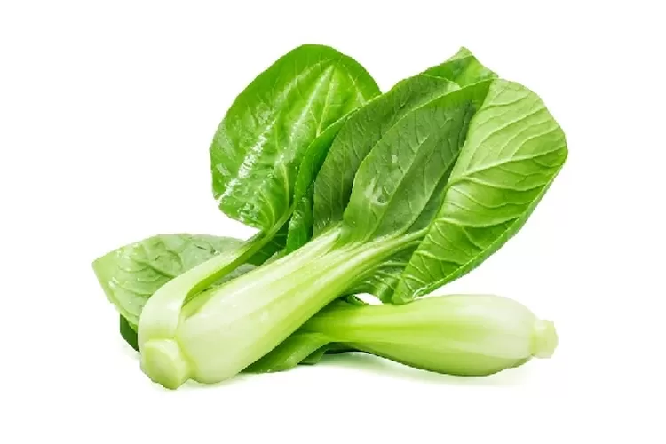 Ilustrasi pakcoy. (freepik.com/dashu83)