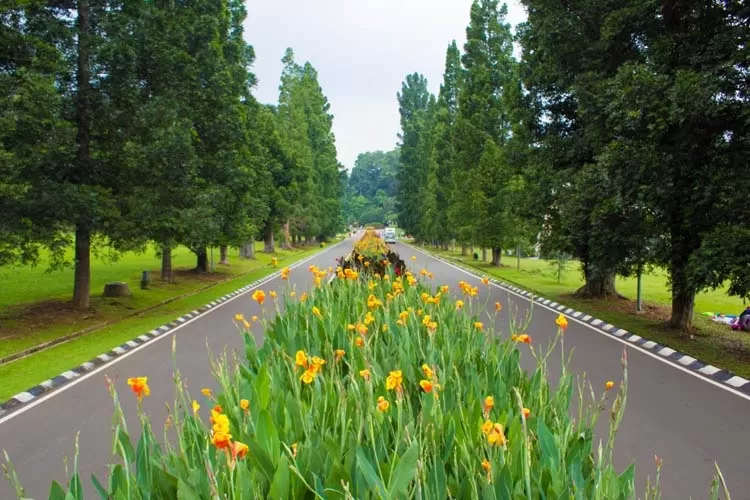 5 Tempat Wisata Edukasi Di Bogor Yang Cocok Untuk Anak - Ayo Bogor