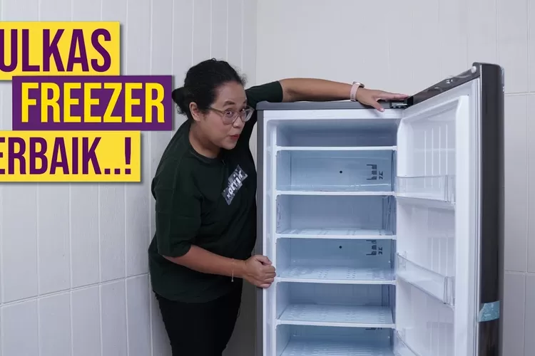 lg freezer 1 pintu