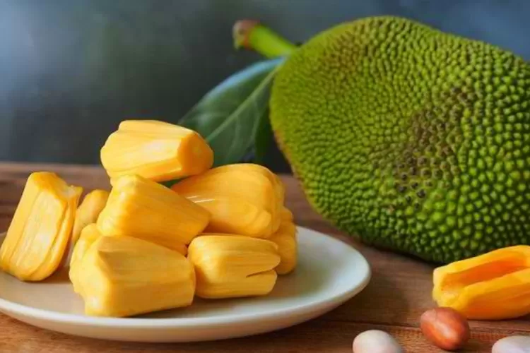 Mengungkap Manfaat Luar Biasa Dari Buah Nangka Untuk Kesehatan Tubuh Strategi Halaman