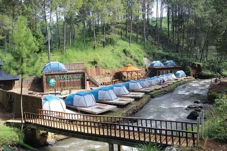 Talaga Pineus Camping Pinggir Sungai Di Pangalengan Bandung Tempat Wisata Hidden Gems Di Jawa 3809