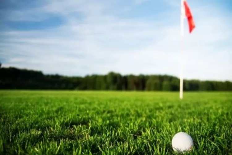 Potret lapangan golf sebagai tempat olahraga 