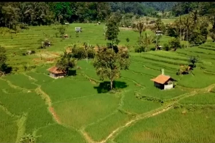 Desa Wisata Wangunharja Subang yang Indah dan Asri (YouTube Mekar Wangun Harja)