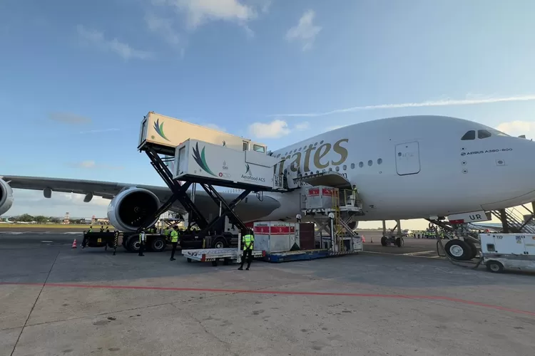 Pesawat Terbesar Di Dunia Airbus A380-800 Mendarat Reguler Ke Bali ...