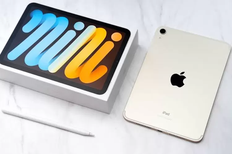 Intip Keunggulan Kamera Ipad Mini Wi Fi Yang Dibanderol Rp Juta