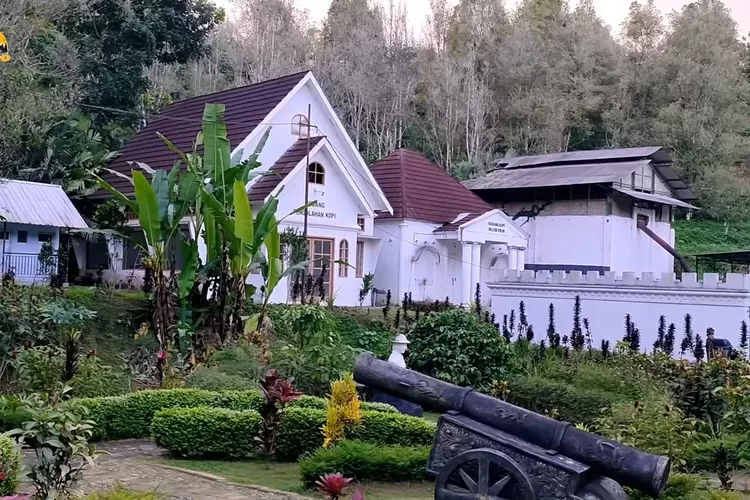 Satu Setengah Jam Dari Pusat Kota, Pesona Kampung Londo Di Jember ...