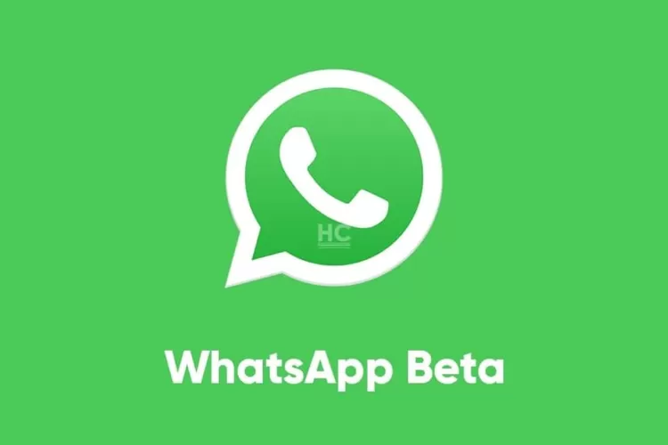 Fitur Baru WhatsApp Beta Permudah Pengguna Bisa Berkirim Foto Resolusi ...