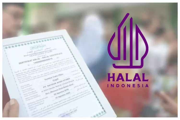 Berikut Ini Cara Mengurus Sertifikasi Halal Mudah Dan Murah, Dijamin ...