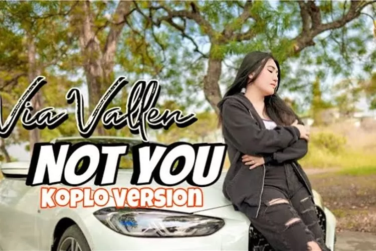 Lirik Lagu Not You Alan Walker Versi Koplo - Via Vallen Berikut Terjemahannya (channel YouTube Via Vallen Official)