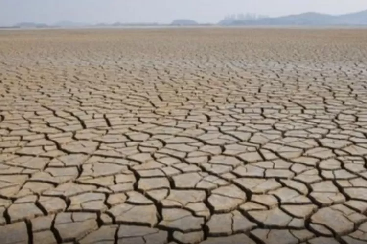 Ilustrasi kekeringan Landa Lebak Jawa Barat.  (TL IG @obrolanmajalengka)