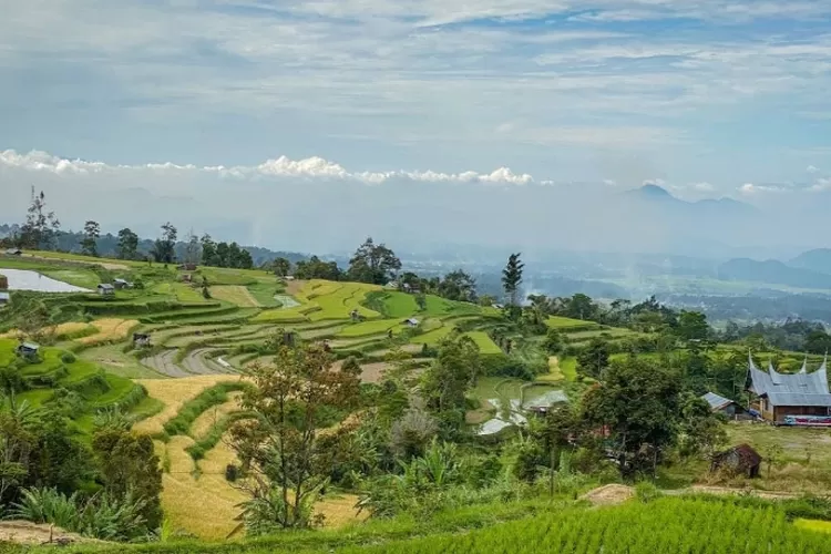 Desa Wisata Nagari Tuo Pariangan, Sumatera Barat: Menyelami Keindahan ...