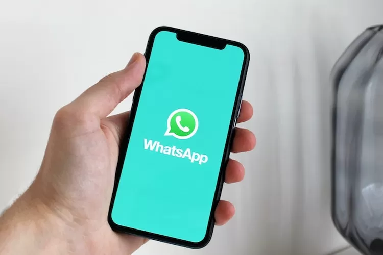Download GB WhatsApp Pro APK v18.20 Terbaru 2023 (Pexels.com / Anton)