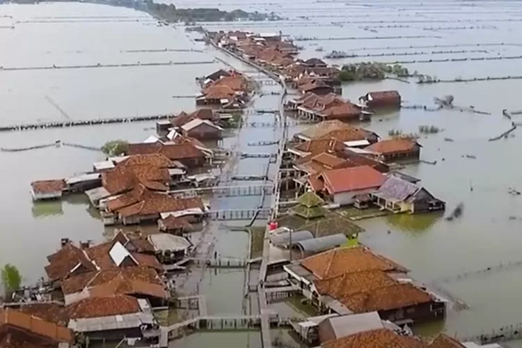 Ilustrasi 5 daerah terendah di Jawa Tengah. (Tangkapan Layar Youtube Pusat Penelitian Kehutanan Internasional)