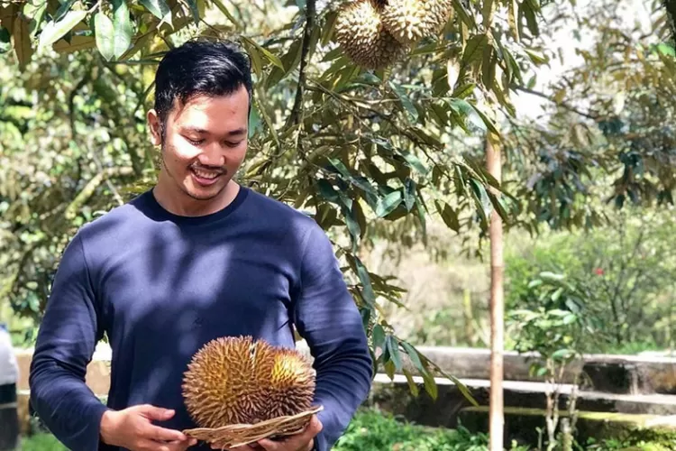 Wisata Tempat Makan Durian Bogor Ini Bikin Nagih, Langsung Dipetik Di ...