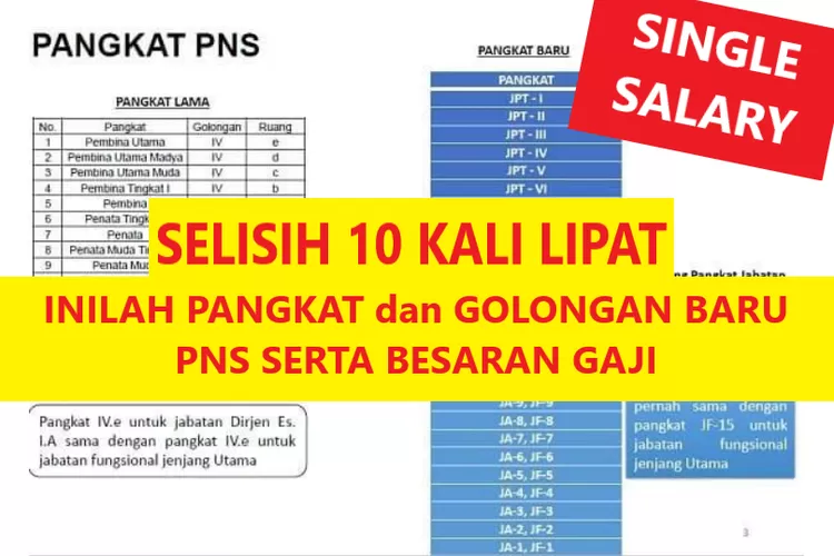 INILAH PANGKAT GOLONGAN BARU PNS SERTA BESARAN GAJI PADA SINGLE SALARY ...