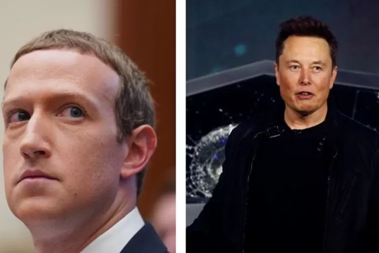 Elon Musk Dan Mark Zuckerberg Akan Berkelahi Di Ring, Begini Fakta ...