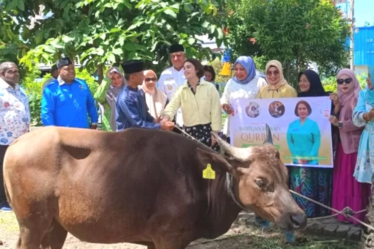 Tata Cara Dan Doa Menyembelih Hewan Qurban Idul Adha, Panduan Lengkap ...