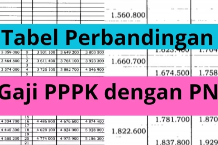 Ternyata Gaji Pppk Lebih Besar Dibandingkan Pns Simak Tabel Perbedaan Gaji Antara Keduanya 9414