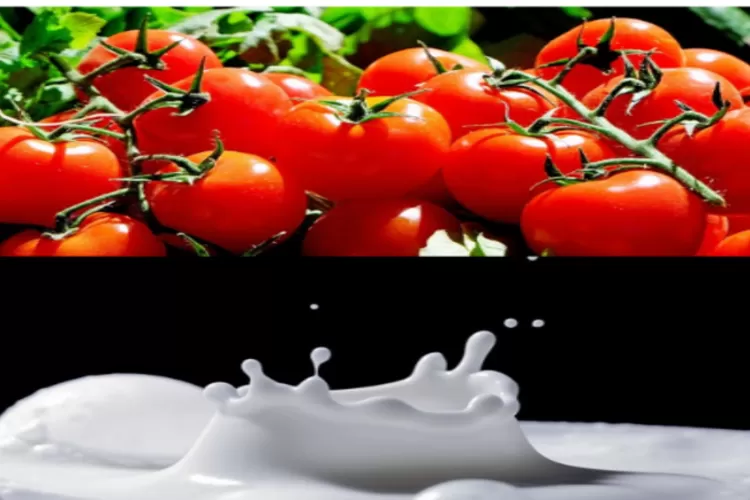 Potret tomat dan susu bahan alami atasi masalah kulit wajah (Pixabay.com)