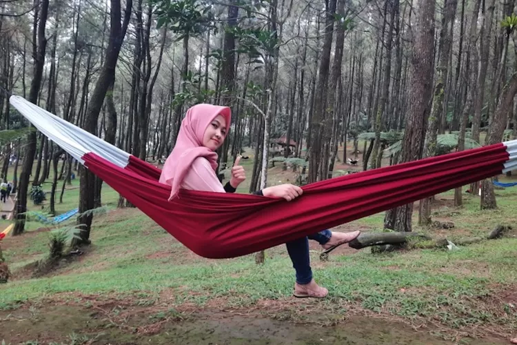 Wisata Rimba Pinus Pasir Langlang Panyawangan. (TIMENEWS/Google Maps@Den Egi)