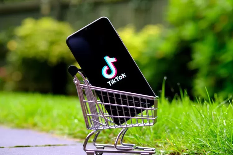 Project S TikTok Ancam UMKM Indonesia, Ini Penjelasannya... - Tajuk 24