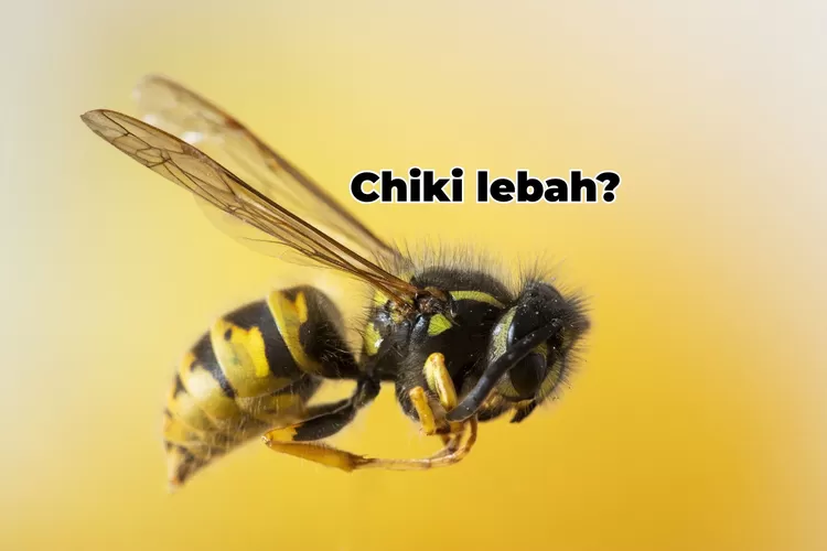 Arti dari chiki lebah, sayur kakek kakek tua, telur mata kedip, dan wafer jerawat dalam teka teki MPLS. (Freepik: wirestock)