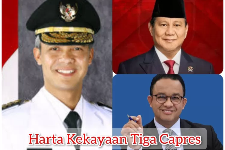 Ramai Deklarasi Capres Dan Cawapres 2024, Inlah Rincian Sumber Harta ...