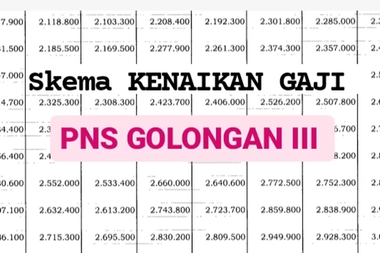 Inilah Skema Kenaikan Gaji Pns Golongan Iii Yang Akan Diumumkan Oleh Jokowi Langsung Pada 5572