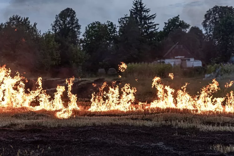 Tts Bahan Bakar Yang Selalu Bersinar Adalah Berikut Jawaban Tebak Tebakan Atau Teka Teki Tts 6274