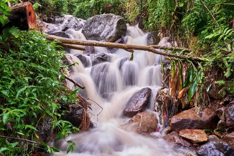 Butuh Udara Segar? Ini 10 Destinasi Wisata Hijau Dekat Jakarta untuk Weekend Santai (Freepik/ rachmattt)