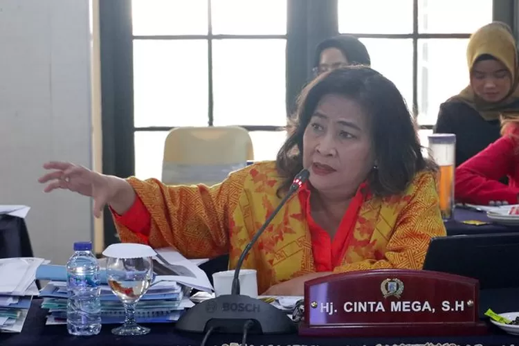 Profil Lengkap Cinta Mega, Anggota DPRD DKI Jakarta Fraksi PDIP Yang ...