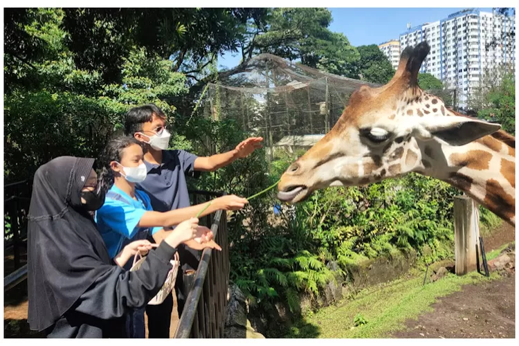 Destinasi Ramah Anak Di Bandung: 10 Tempat Wisata Tak Terlupakan Untuk ...