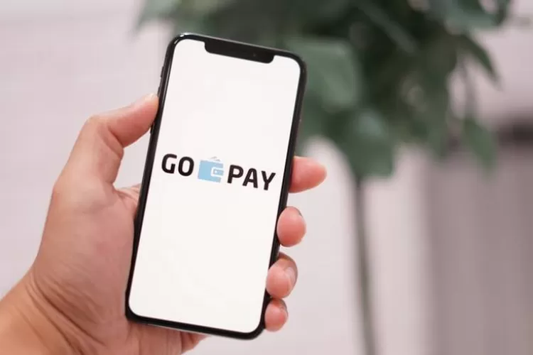 Begini Cara Download Aplikasi GoPay Dengan Mudah Di Smartphone, Layanan ...