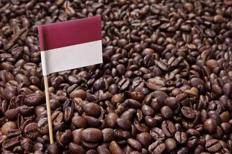 7 Jenis Kopi Ikonik Asli Indonesia Yang Sukses Mendunia Kopi Lokal Populer Dengan Citarasa 5813