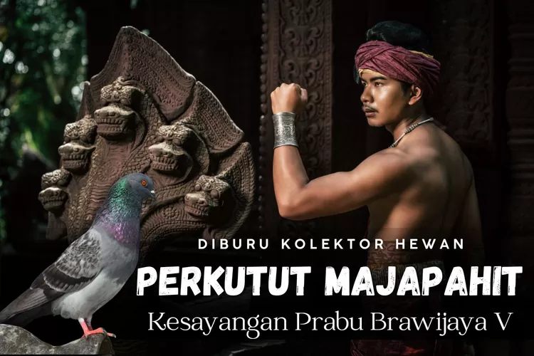 Perkutut Majapahit: Hewan Kesayangan Prabu Brawijaya V Pembawa ...