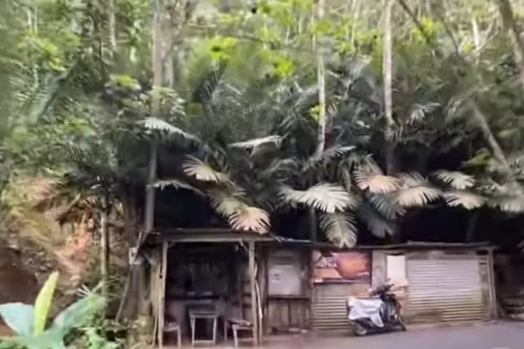 Warung Di Tengah Hutan Di Kabupaten Banjarnegara Ini Terpencil Jauh Ternyata Berani Buka Sampai 9689