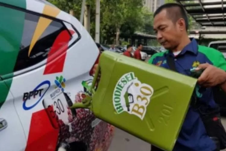 Berikut Realisasi Minyak Biodiesel B35, Lanjut Ke BBM B40, Kapan B100 ...