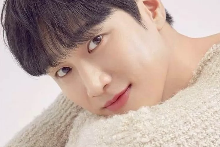 Siapa Ahn Bo Hyun Intip Profil Biodata Aktor Yang Dikabarkan Tengah Menjalin Asmara Dengan