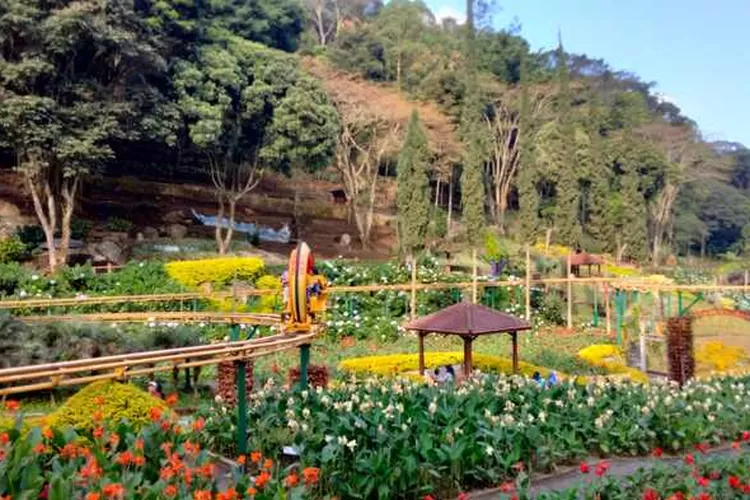 Destinasi wisata Malang hadirkan nuansa alam menyenangkan dengan spot taman bunga populer yang paling digemari untuk tujuan healing (Mengerti.id/Merlianda Eka Arifiani)