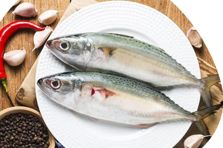 Ikan Kembung Kalah Imej, Padahal Lebih Bergizi Dibanding Salmon ...