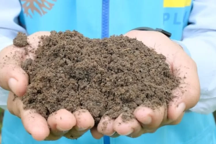 The Difference Between Fill Dirt and Topsoil
