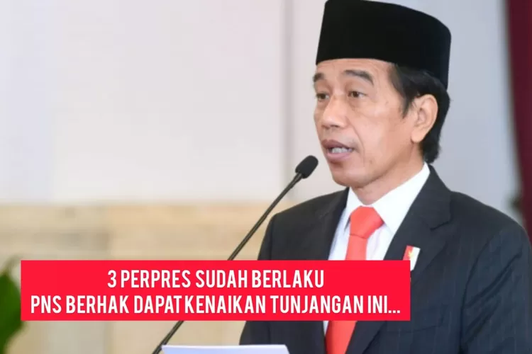 PRESIDEN JOKOWI UMUMKAN KENAIKAN TUNJANGAN KINERJA UNTUK PNS MELALUI ...